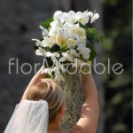 Bouquet cascante con orchidee bianche