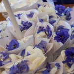 conetti portapetali matrimonio bianco e blu