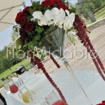 Vasi Martini per adobbi eleganti con orchidee 