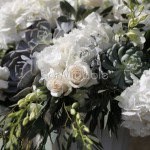 Allestimento elegante con orchidee, rose, ortensie e succulente